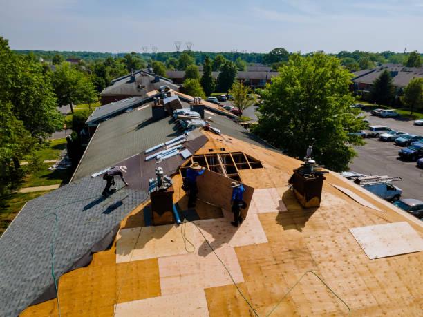 Best Metal Roofing Contractor  in New London, WI