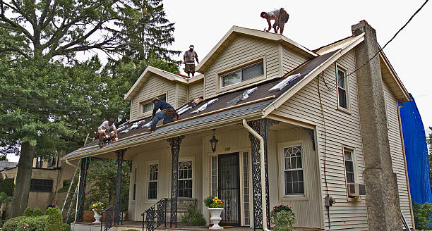 Best New Roof Installation  in New London, WI